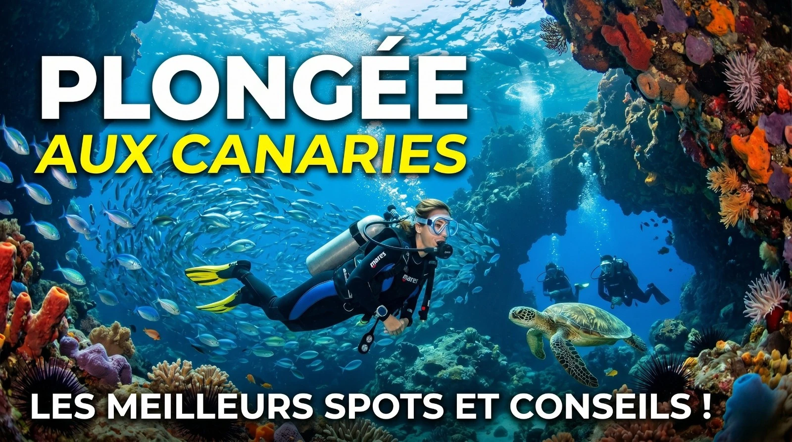 Canaries : El Hierro et Lanzarote, la plongée photo à 4h de la Belgique