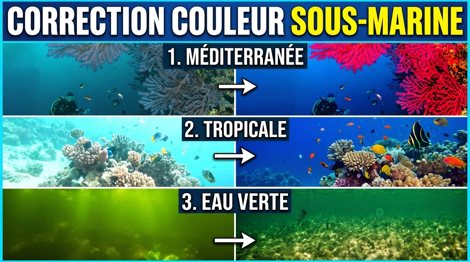 Kleurcorrectie per watertype: tropisch, Middellandse Zee, groen water