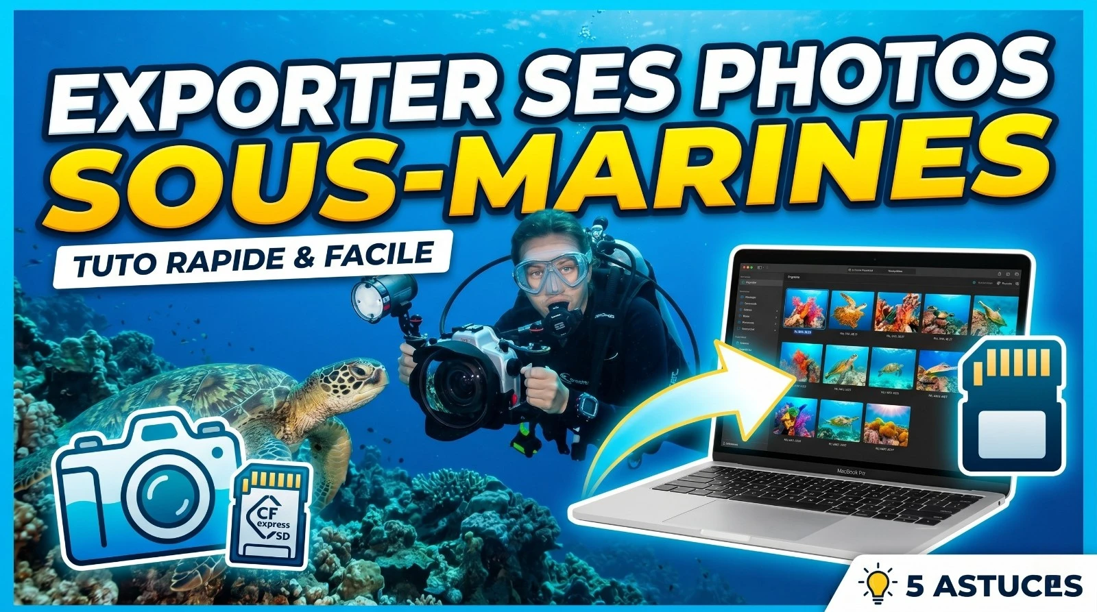 Onderwaterfoto's exporteren: afdrukken, social media en portfolio