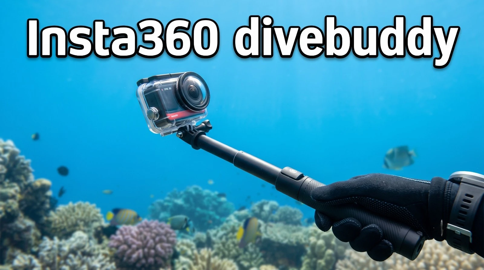 Insta360 Dive Buddy: onderwaterfilm maken zonder het zeeleven te verstoren