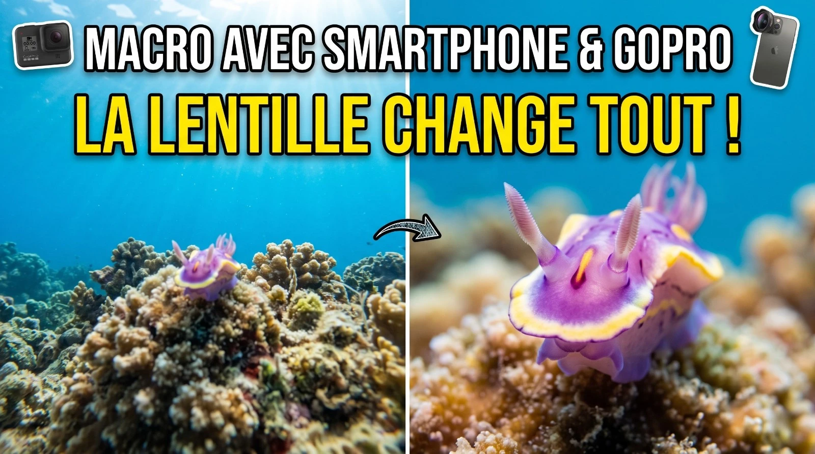 Macro met een smartphone en een GoPro: de voorzetlens verandert alles