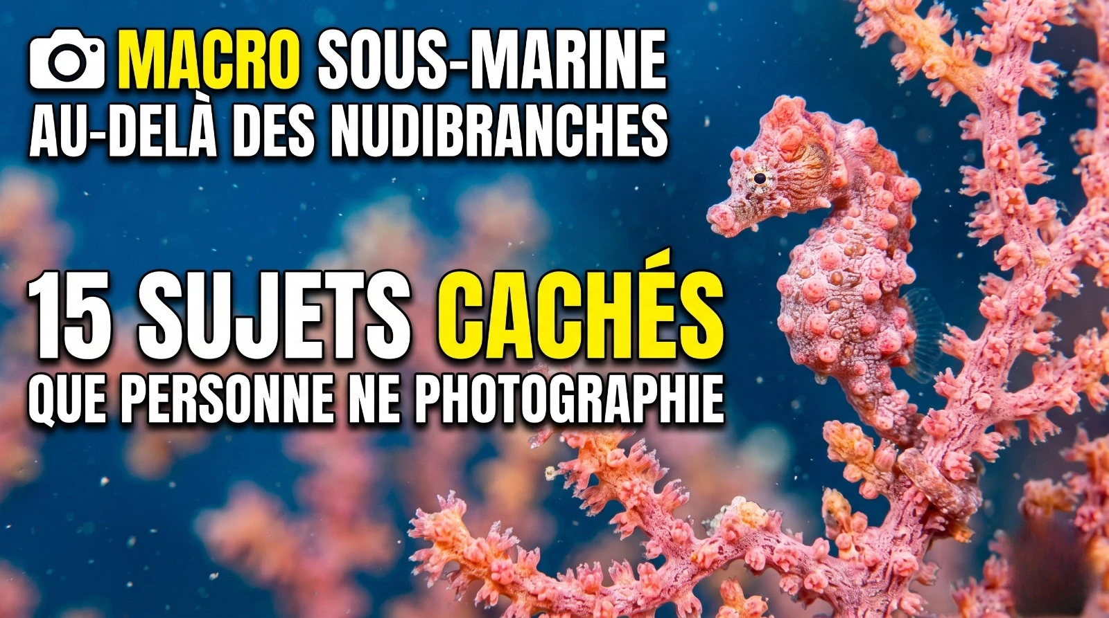 Onderwater macro voorbij naaktslakken: 15 verborgen onderwerpen die niemand fotografeert