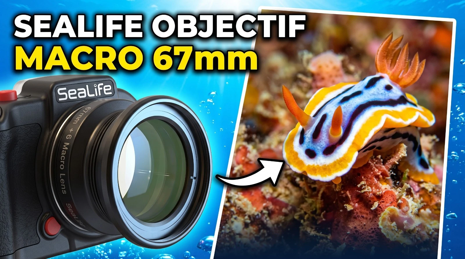 SeaLife 67mm macro-lens: wat hij oplost en wat hij niet oplost